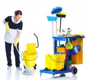 House Cleaners Streatham: House Cleaners Streatham